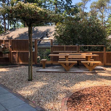Veluwe Vakantiehuis - Bosuil Lodge Lunteren Exterior photo